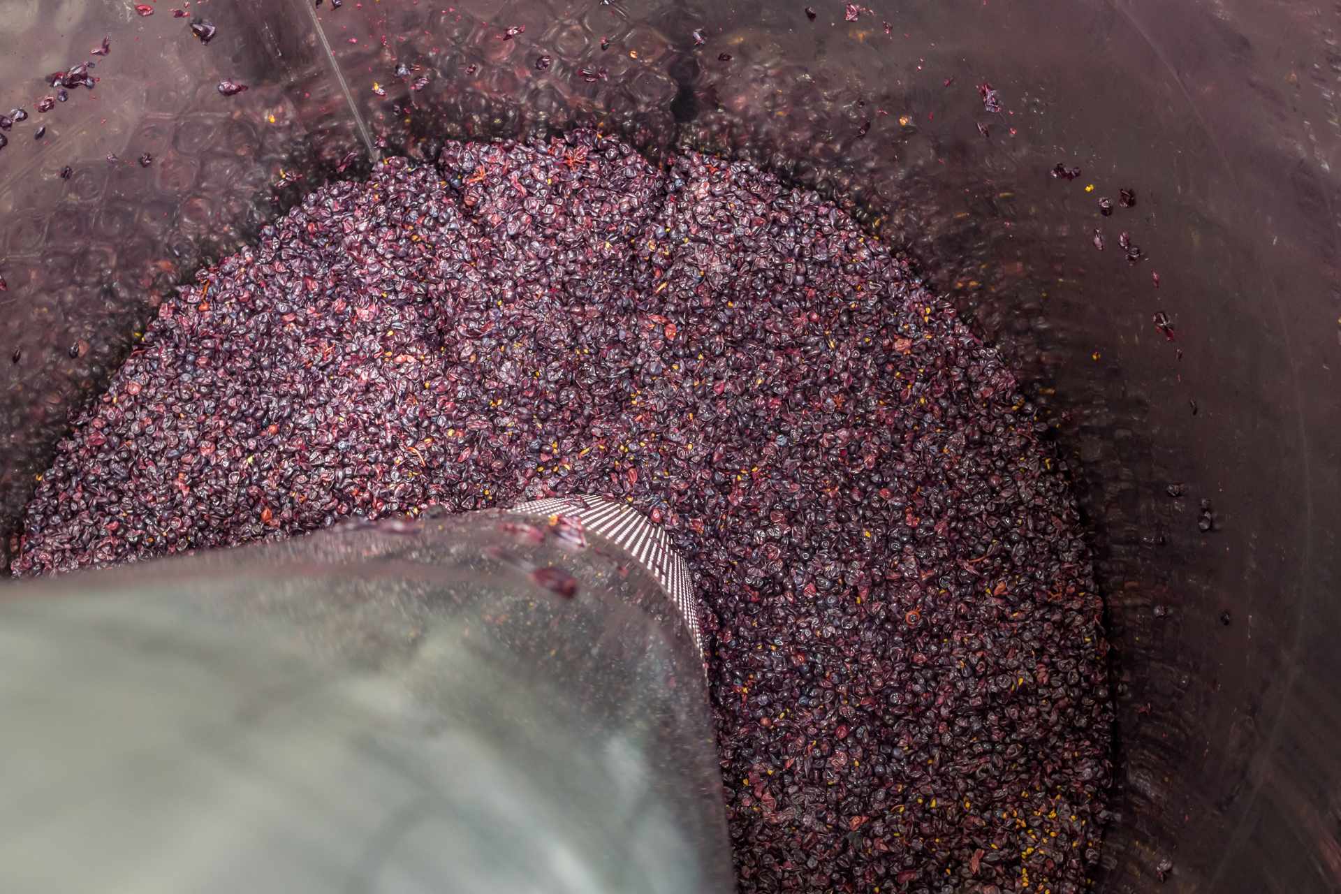 MULTI SERVICES 33 -Tuyauterie-et-raccord-vinicole-a-Lalande-de-Pomerol